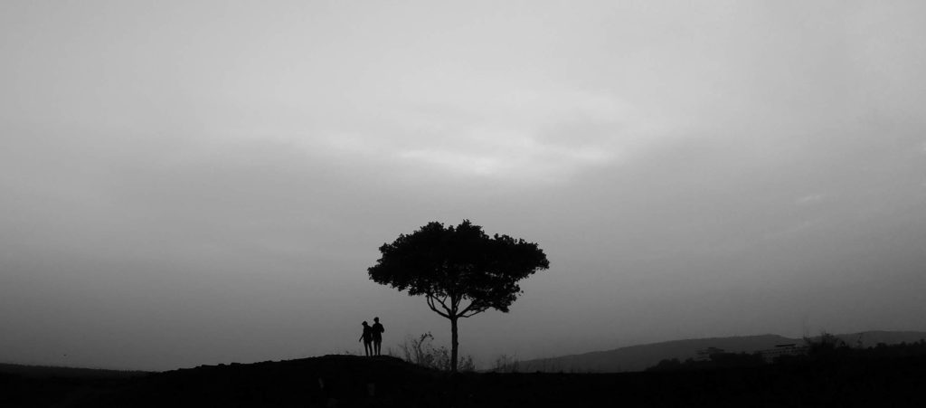 Ananthu ajayan 2jy l1dillm unsplash copie